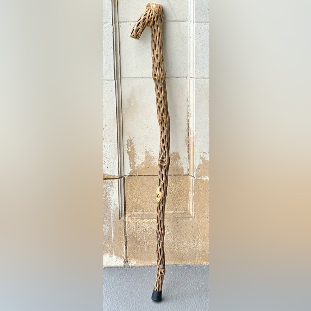 Vintage Crook Handle Dried Cholla Cactus Skeleton Walking Stick Cane